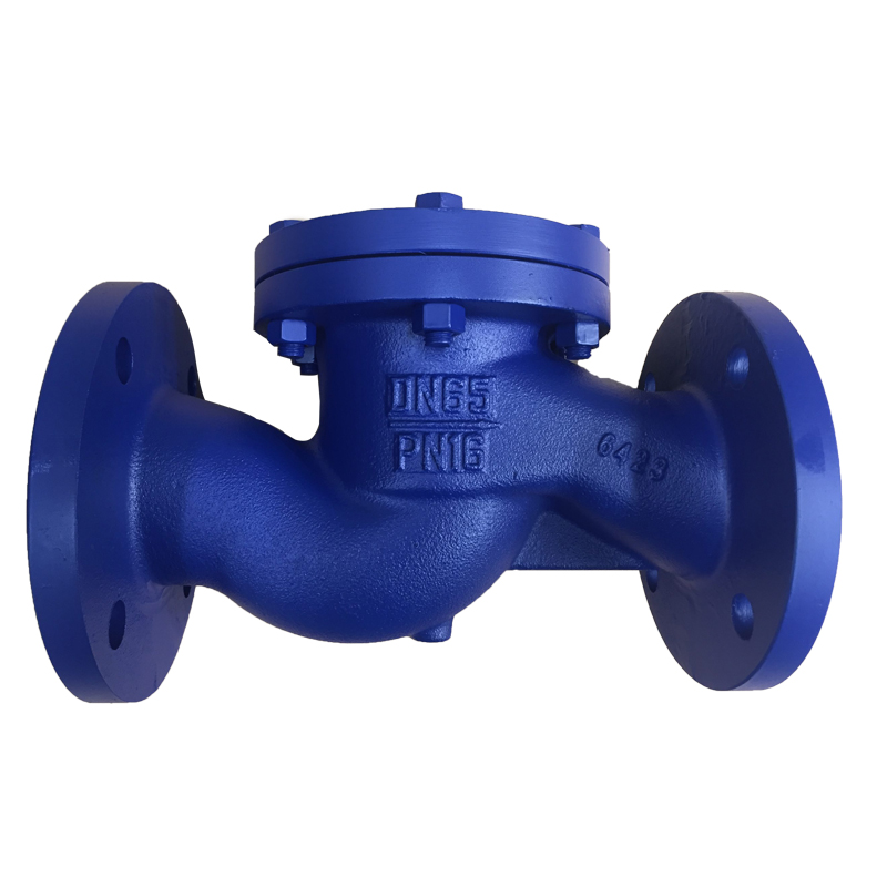 Вертикальный обратный клапан DIN - Tsunny Group